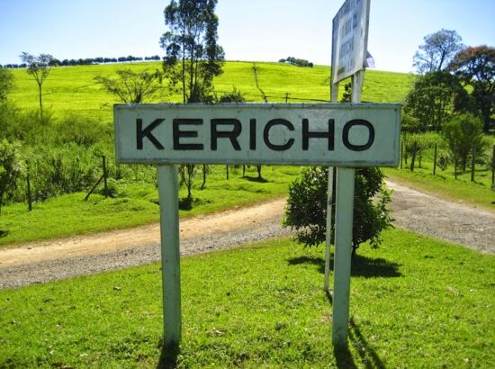 Simple CV Template for Mid and Advanced Career |  Professional CV Writing Kericho